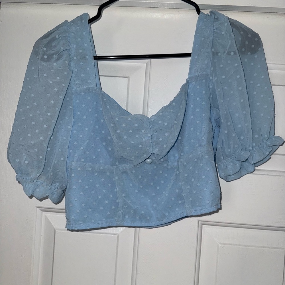 Blue Sheer Puff Sleeve Top